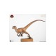 Jurassic Park Statue 1/4 The Lost World: Jurassic Park Male Velociraptor 63 cm