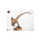 Jurassic Park Statue 1/4 The Lost World: Jurassic Park Male Velociraptor 63 cm