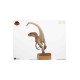 Jurassic Park Statue 1/4 The Lost World: Jurassic Park Male Velociraptor 63 cm