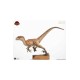 Jurassic Park Statue 1/4 The Lost World: Jurassic Park Male Velociraptor 63 cm