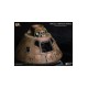 Apollo 11 Replica 1/20 Command Module (NX) 20 cm