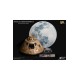 Apollo 11 Replica 1/20 Command Module (NX) 20 cm