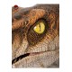 Jurassic Park Life-Size Bust Male Velociraptor 75 cm