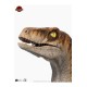 Jurassic Park Life-Size Bust Male Velociraptor 75 cm