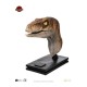 Jurassic Park Life-Size Bust Male Velociraptor 75 cm