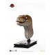 Jurassic Park Life-Size Bust Male Velociraptor 75 cm