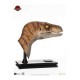 Jurassic Park Life-Size Bust Male Velociraptor 75 cm