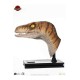 Jurassic Park Life-Size Bust Male Velociraptor 75 cm