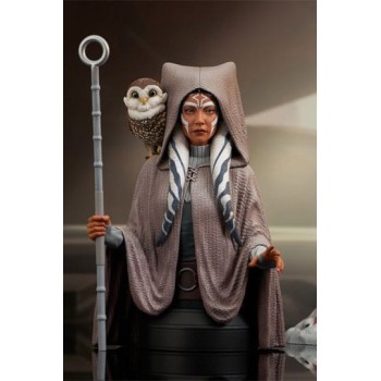 Star Wars: Rebels Bust 1/6 Ahsoka Tano Web Exclusive 15 cm