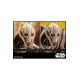 Star Wars Movie Masterpiece Diecast Action Figure 1/6 General Grievous 42 cm