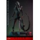 Alien: Romulus Movie Masterpiece Action Figure 1/6 Scorched Xenomorph 44 cm