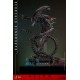 Alien: Romulus Movie Masterpiece Action Figure 1/6 Scorched Xenomorph 44 cm