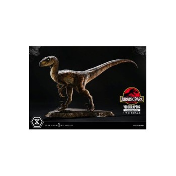 Jurassic Park Prime Collectibles Statue 1/10 Velociraptor Closed Mouth 19 cm