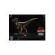 Jurassic Park Prime Collectibles Statue 1/10 Velociraptor Closed Mouth 19 cm