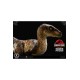 Jurassic Park Prime Collectibles Statue 1/10 Velociraptor Closed Mouth 19 cm