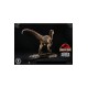 Jurassic Park Prime Collectibles Statue 1/10 Velociraptor Closed Mouth 19 cm