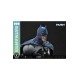 Batman Ultimate Premium Masterline Series Statue 1/4 Hush (Comics) Batman 56 cm