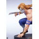 Street Fighter Street Jam Statuen 1/10 Ken & Vega Set