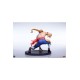 Street Fighter Street Jam Statuen 1/10 Ken & Vega Set