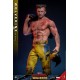 Deadpool & Wolverine Movie Masterpiece Action Figure 1/6 Wolverine (TVA Jacket Version) 31 cm