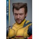 Deadpool & Wolverine Movie Masterpiece Action Figure 1/6 Wolverine (Deluxe Version) 31 cm