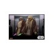 Star Wars Movie Masterpiece Action Figure 1/6 Kit Fisto 32 cm