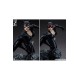 DC Comics Maquette 1/4 Catwoman 47 cm