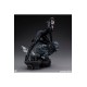 DC Comics Maquette 1/6 Catwoman 35 cm