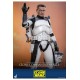 Star Wars: The Clone Wars Action Figure 1/6 Clone Commander Wolffe 30 cm