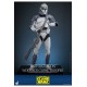 Star Wars The Clone Wars Action Figure 1/6 104th Battalion Wolfpack Clone Trooper 30 cm