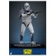 Star Wars The Clone Wars Action Figure 1/6 104th Battalion Wolfpack Clone Trooper 30 cm