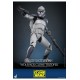 Star Wars The Clone Wars Action Figure 1/6 104th Battalion Wolfpack Clone Trooper 30 cm