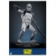 Star Wars The Clone Wars Action Figure 1/6 104th Battalion Wolfpack Clone Trooper Deluxe Version 30 cm