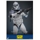 Star Wars The Clone Wars Action Figure 1/6 104th Battalion Wolfpack Clone Trooper Deluxe Version 30 cm