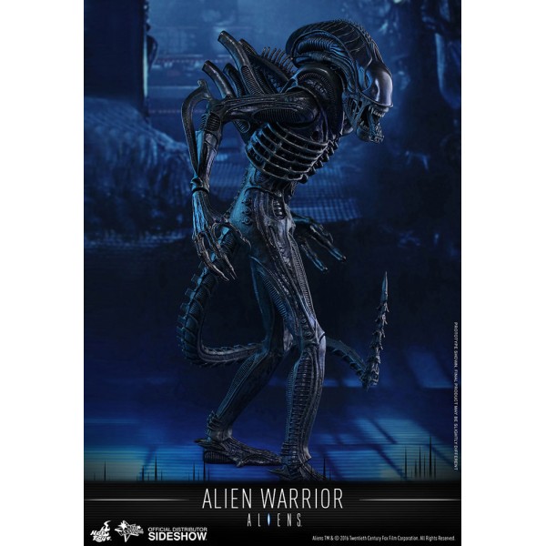 Ellen Ripley Action Figure 1/6 Movie Masterpiece, Alien, 30 cm