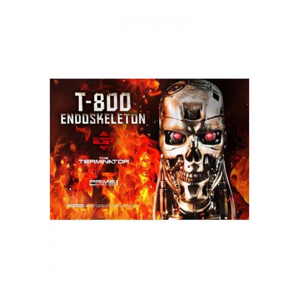 High Definition Bust The Terminator (Film) T-800 Endoskeleton Head