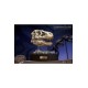 Wonders of the Wild Series Statue T-Rex Head Skull 30 cm