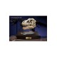 Wonders of the Wild Series Statue T-Rex Head Skull 30 cm